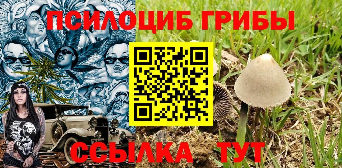 Ишимбай  Галлюциногенные грибы Cubensis  Вход с VPN 