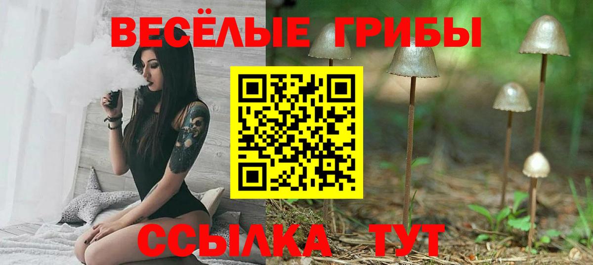 Псилоцибиновые грибы MAGIC MUSHROOMS Ишимбай
